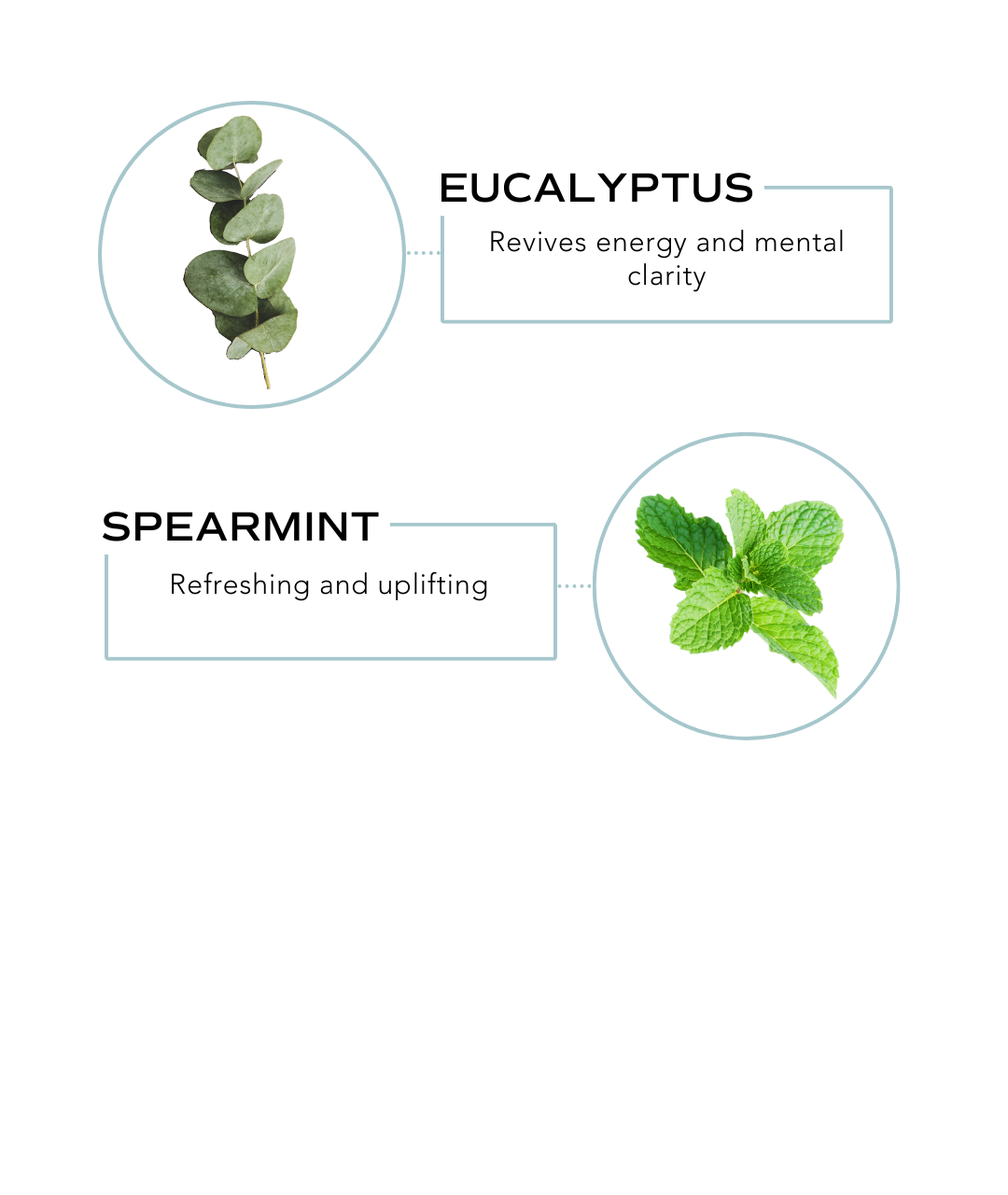 Essential Oil Rollerball - Breathe (Respiratory Support)