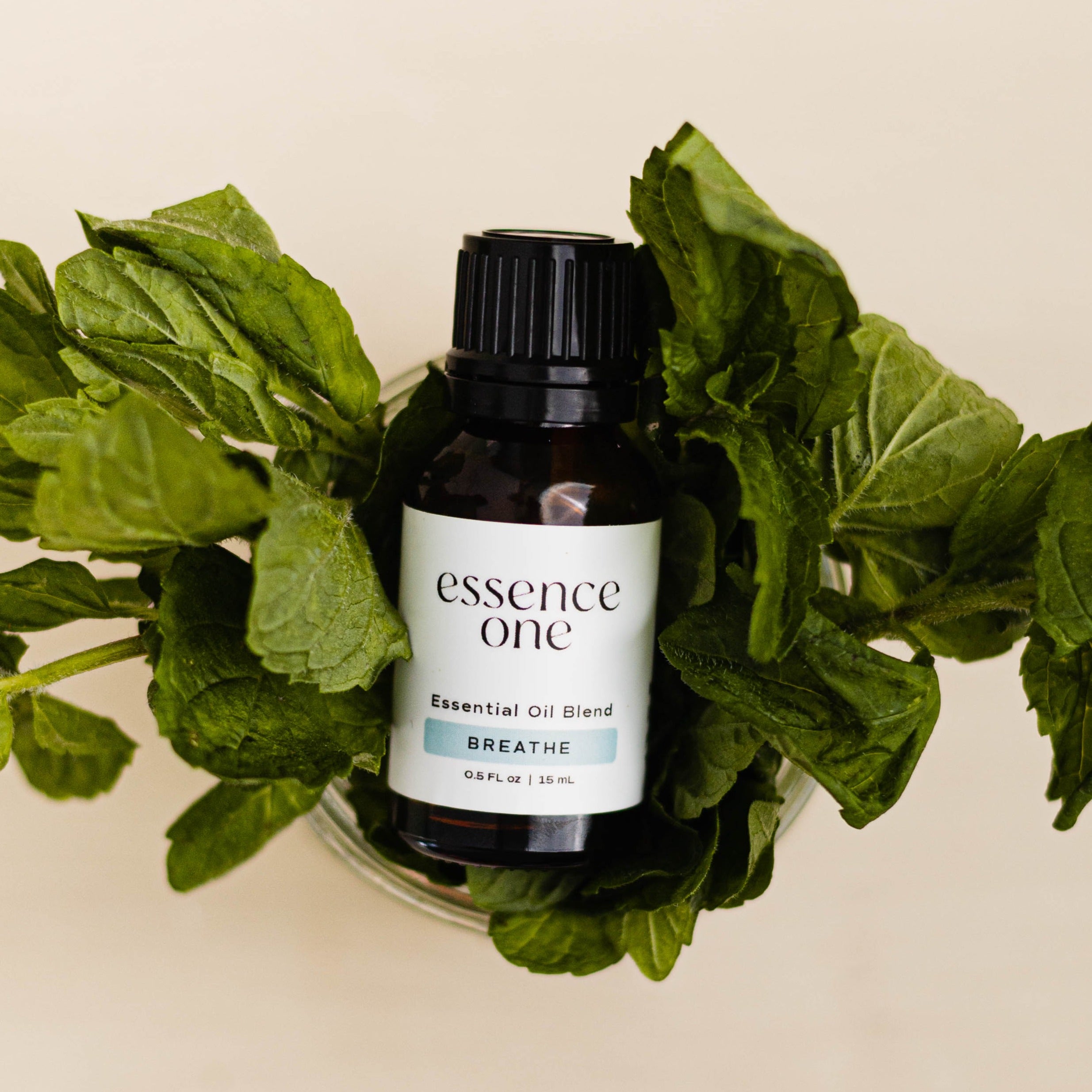 Essential Oil Blend - Breathe