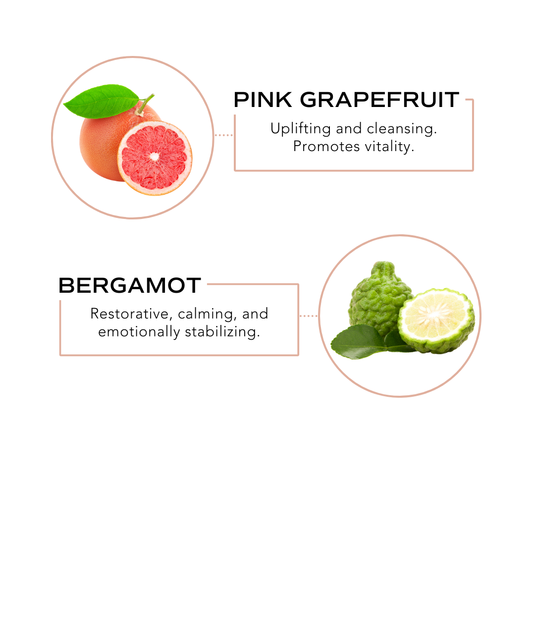 Purifying Hand Spray - Energy