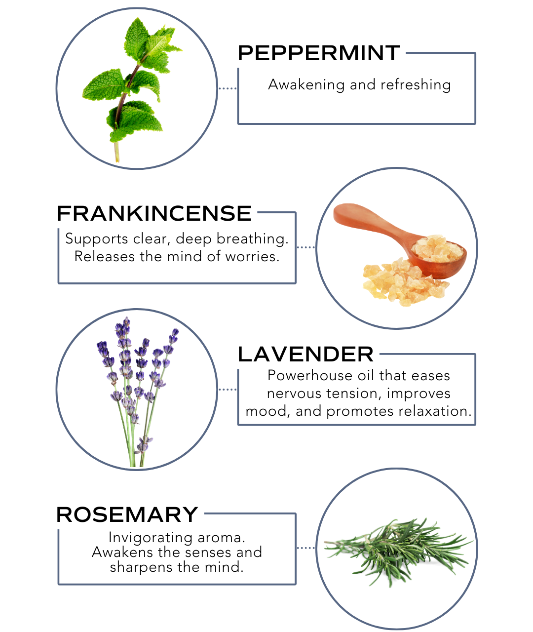Essential Oil Rollerball - Head Relief (Tension Support)