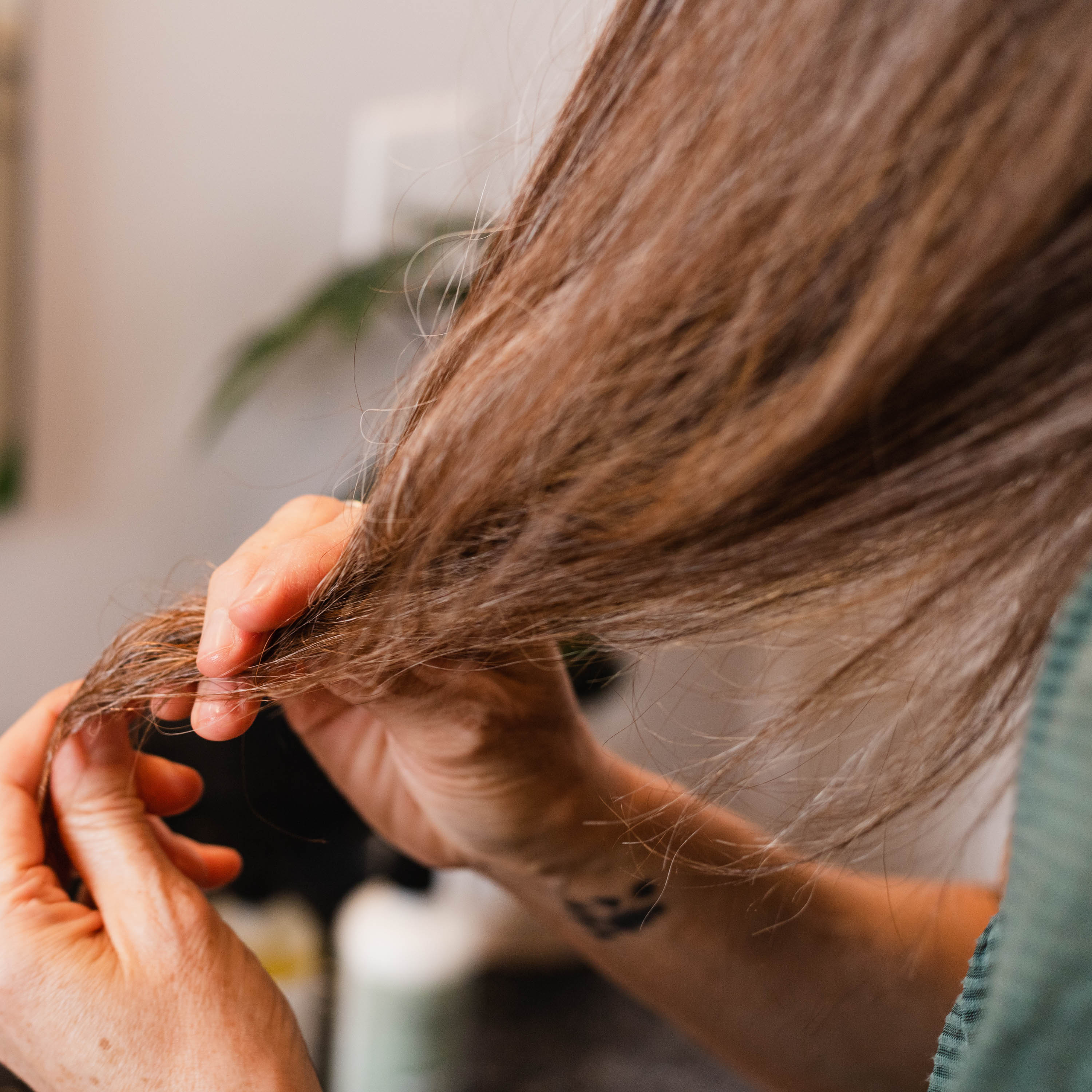 Rosemary Mint Scalp Oil