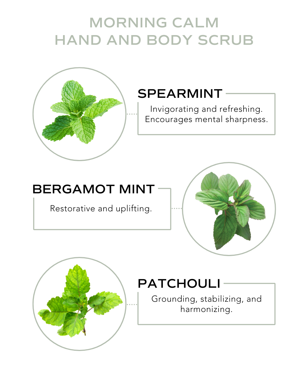 Hand & Body Scrub - Morning Calm