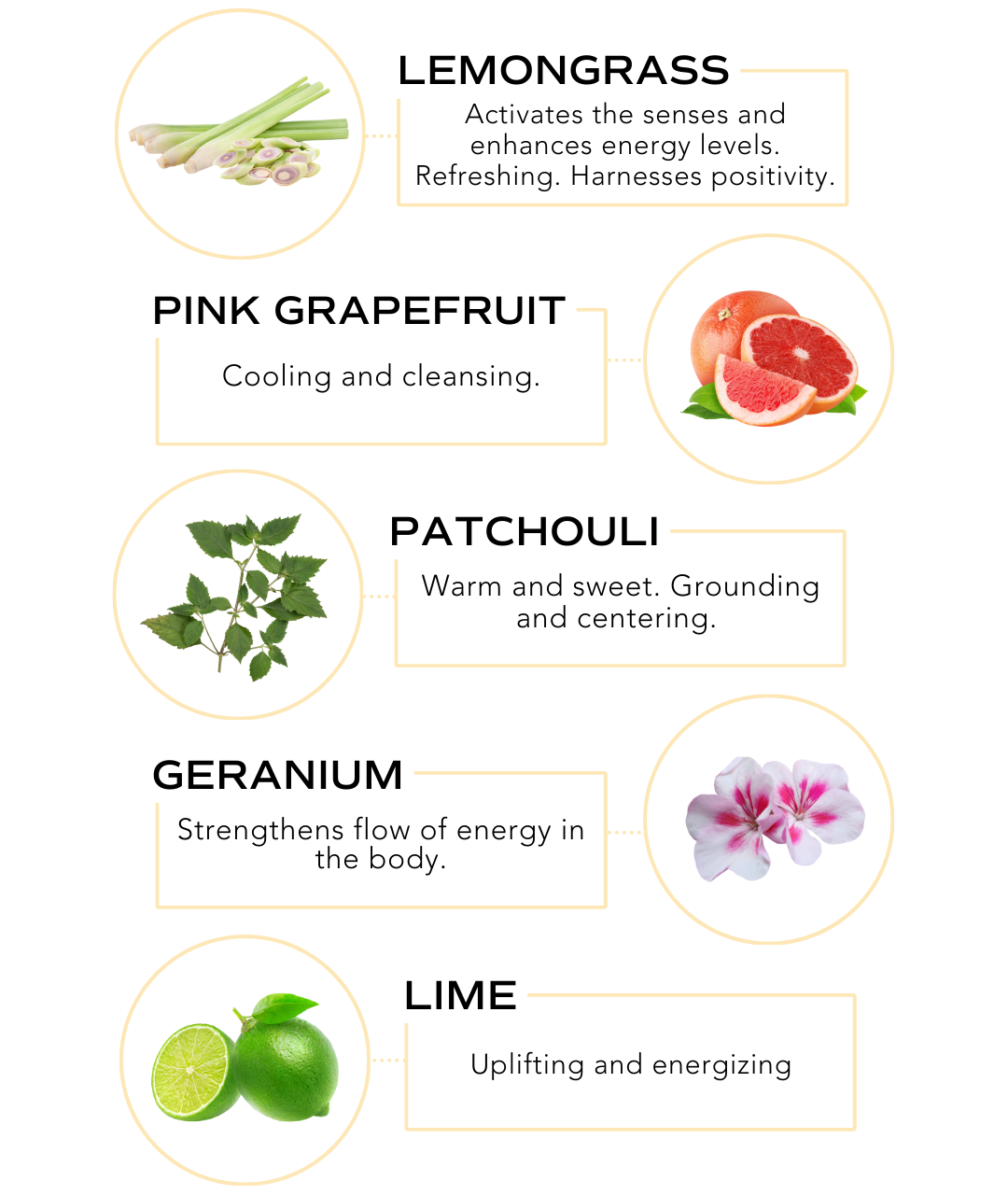 Essential Oil Blend - Revive