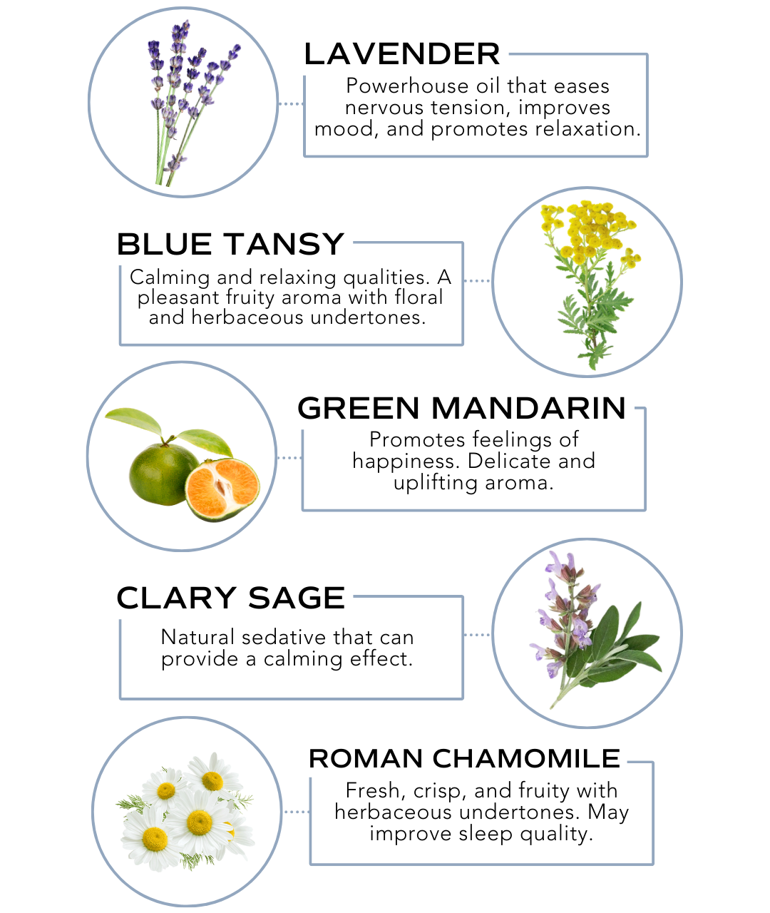 Essential Oil Rollerball - Sleep (Sleep Support)