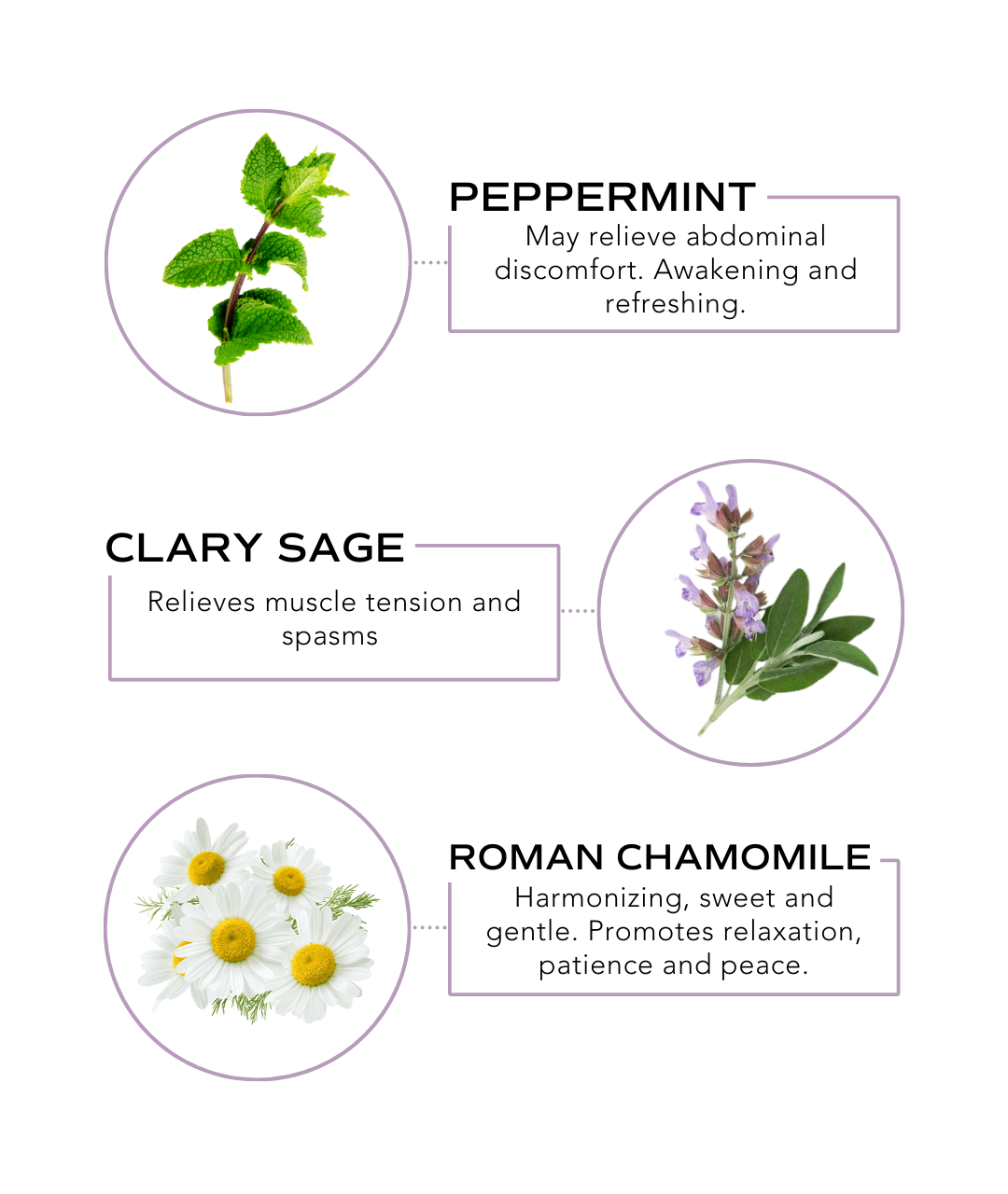 Essential Oil Rollerball – Soothe (Abdominal Support)