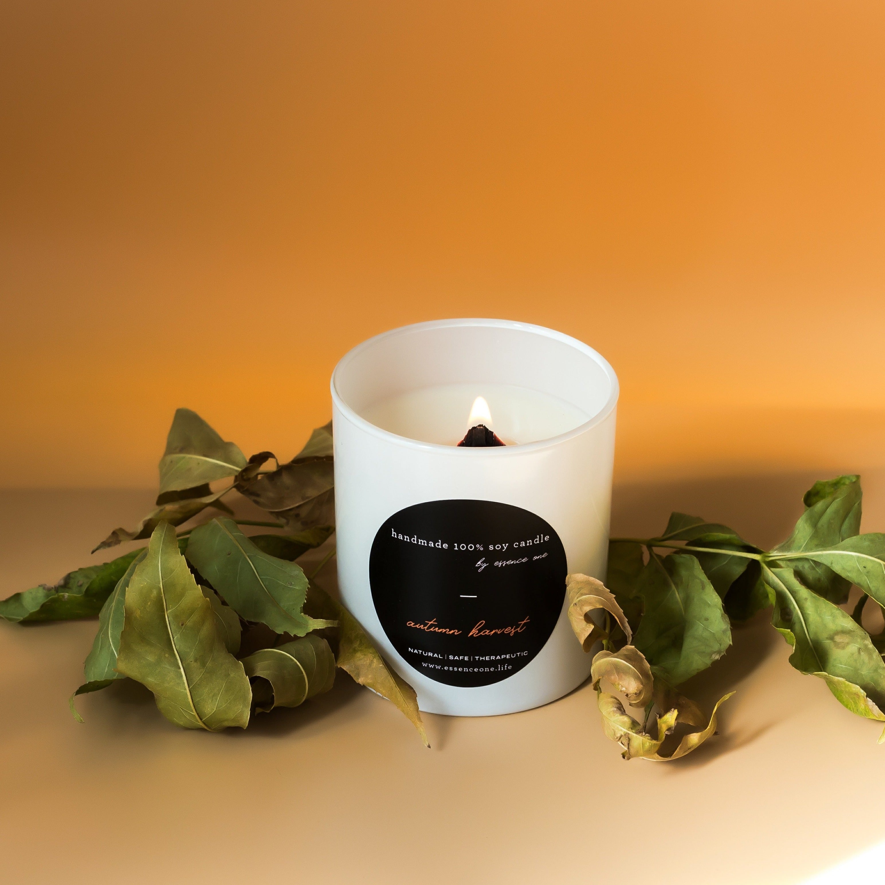 Holiday Fragrance Candle Collection