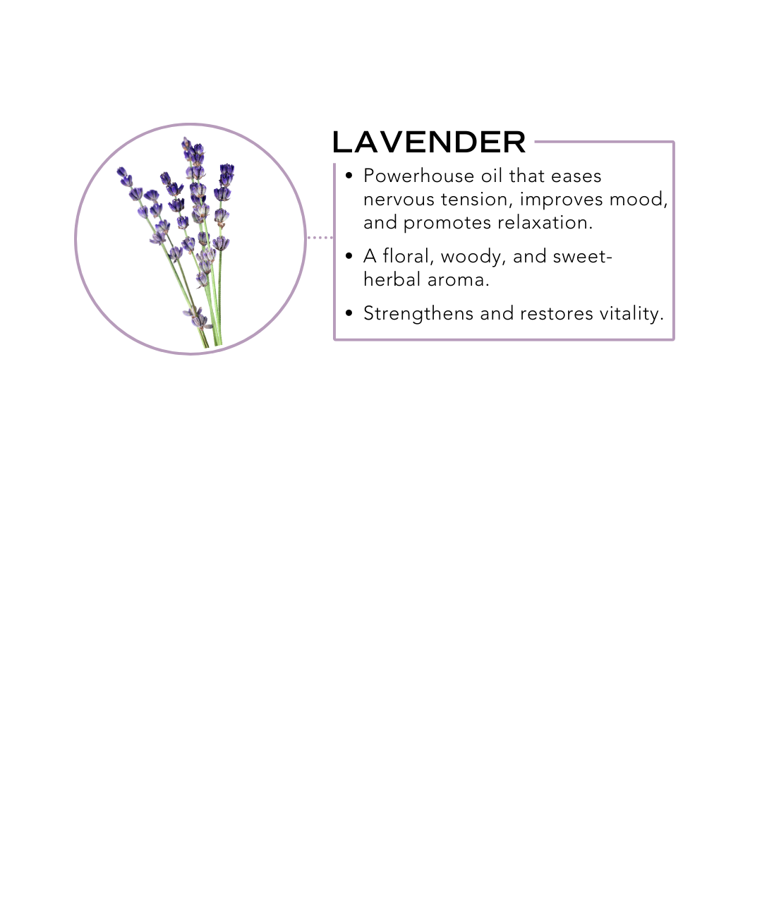 Shower Steamers - Lavender